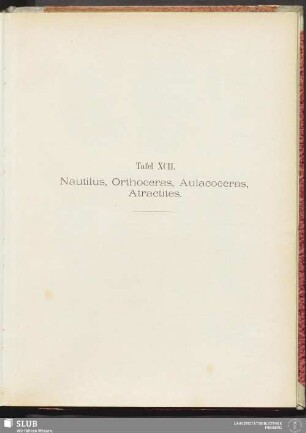 Tafel XCII. Nautilus, Orthoceras, Aulacoceras, Atractites