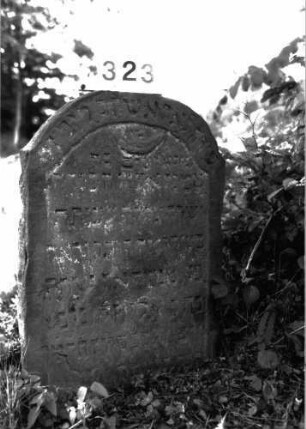 Grabstein 323