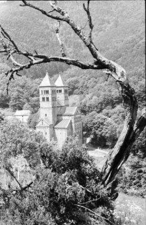Murbach: Klosterkirche, von oben, mit kahlem Baum im Vordergrund