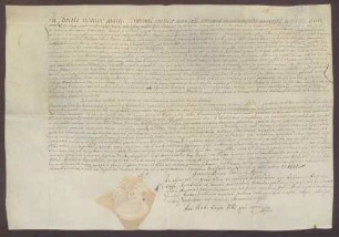 Procuratorium des Gottfried von Reede zu Sassenfeld für den Vikar Holzheimer.