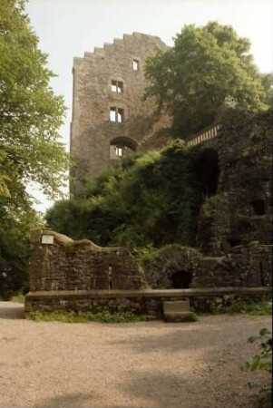 Geroldseck: Burgruine vom Zugang her