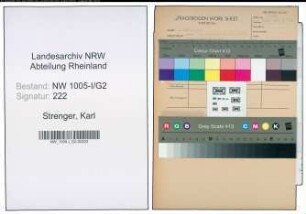 Entnazifizierung Karl Strenger , geb. 23.03.1903 (Polizeibeamter)
