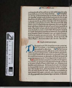 Preceptum nonum