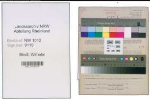 Entnazifizierung Wilhelm Bindt , geb. 10.10.1909 (Ingenieur)
