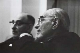 Die Maler Julius Schuelein und Eugen Spiro