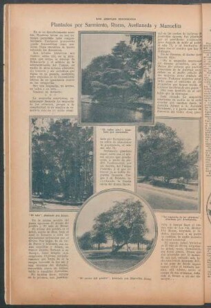 Los árboles históricos plantados por Sarmiento, Rozas, Avellaneda y Manuelita