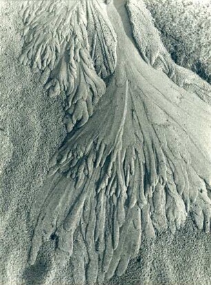 Spuren fließenden Wassers im Sandboden, Watt
