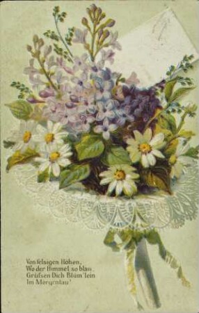 Von felsigen Höhen, [...]