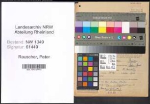 Entnazifizierung Peter Rauscher , geb. 12.05.1900 (Angestellter)