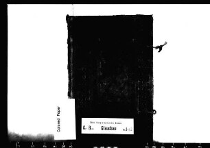Gerichtshandelsbuch für die Vorstädte von Glauchau (Peniger Anteil), Bd. 4