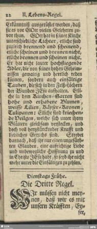 Dienstags Frühe. Die Dritte Regel