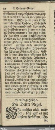 Dienstags Frühe. Die Dritte Regel