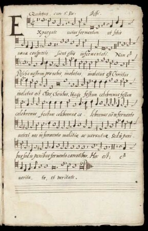 Quintus