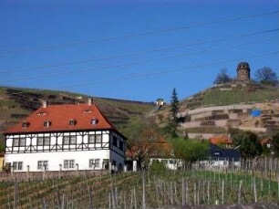 Radebeul: Hoflößnitz
