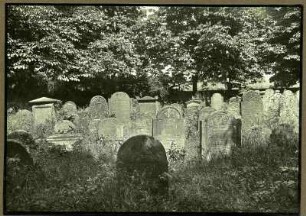 Bei Landau, alter jüdischer Friedhof, Grabsteingruppe, 19. Jh.