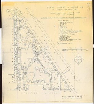 Gartenanlage Siemens & Halske, Berlin-Siemensstadt: Teilentwurf als Beispiel für einen Pausengarten, Bepflanzungsplan: Grundriss 1:100