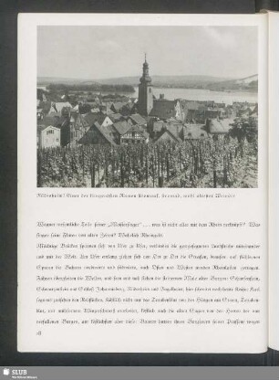 Rüdesheim! Einer der klingendsten Namen stromauf, stromab, wohl ältester Weinort