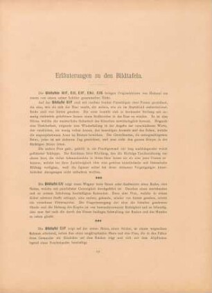 Erläuterungen zu den Bildtafeln
