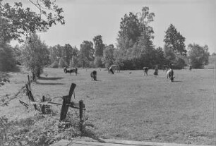 Landschaft : Landschaft in der Oberlausitz