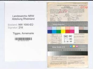 Entnazifizierung Annemarie Tigges, geb. 09.02.1901 (Lehrerin)
