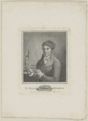 Bildnis des Johann Hedwig
