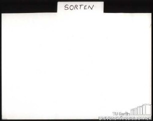 SPINAT: Sorten