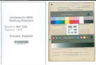 Entnazifizierung Elisabeth Schubert , geb. 25.04.1904 (Fuersorgerin)