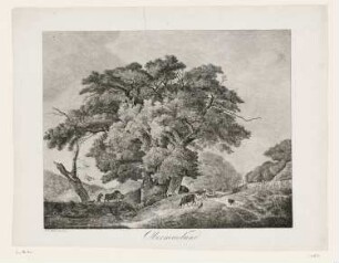 Oberneuland