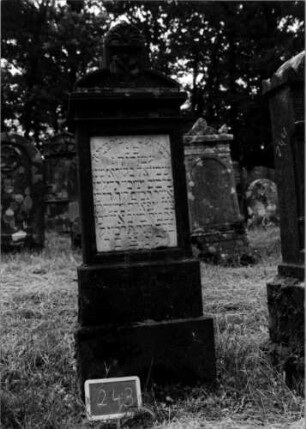 Grabstein 243 [Nir S. 163 Nr. 15.19]
