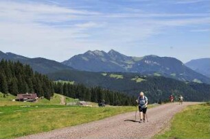 Waidring - Alpenlandschaft : Berggipfel der Tiroler Alpen bei Waidring, aufgenommen 2008