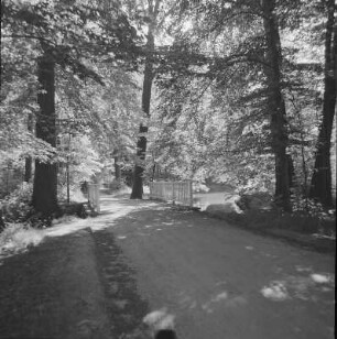Branitzer Park