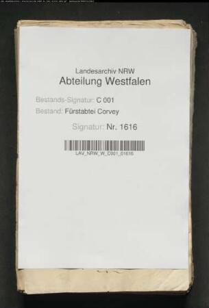Jurisdiktion der von Brinck im Amt Iggenhausen (Prozeßschriften)