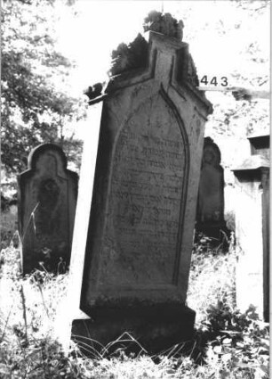 Grabstein 443