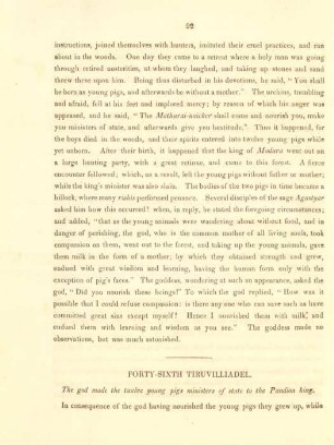 Forty-sixth Tiruvilliadel. The god made the twelve young pigs ministers of state to the Pandion king