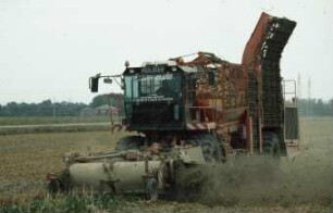 Fotografie: Erntetechnik, Zuckerrübe, Zuckerrübenköpfrodebunker selbstfahrend