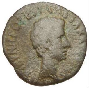 Augustus