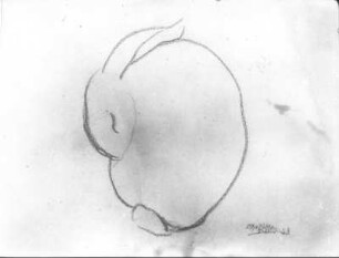 Kaninchen (Naturstudie) : Kaninchen (Naturstudie). Kohlezeichnung (1923; E. Richter). Dresden-Südvorstadt, Eisenstuckstraße, Atelier der Künstlerin