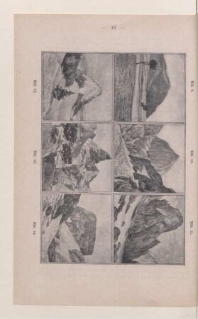 [Abb. 9.-14.]