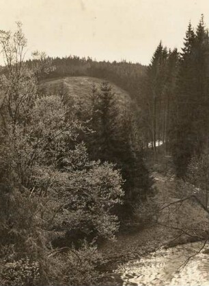 Bobritzschtal. Grabentour. Waldlandschaft am 7. Grabenmundloch