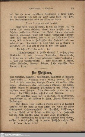 Der Weißdorn