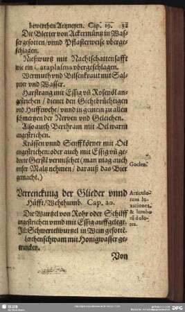 Verrenckuug der Glieder unnd Hüfft, Wehthumb. Cap. 20