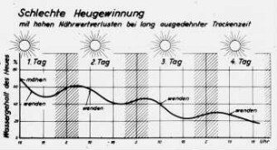 Schlechte Heugewinnung mit hohen Nährwertverlusten bei lang ausgedehnter Trockenzeit