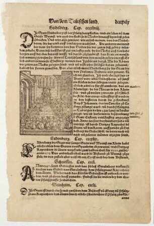 Die Hohe Schule zu Heidelberg (aus der Cosmographie)