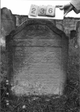 Grabstein 236 (Index: 100107581) Material: heller Sandstein Zustand: stark verwittert und versalzen mit weitgehendem Textverlust Maße HxBxT: 86x64x9 cm Beschreibung: Stele mit geschwungenem Bogenabschluß, oben abgeplattet, Schriftfeld rechteckig eingetieft: Grabstein 236