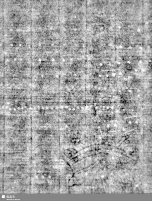 Lilienschild + IESV / LW = S.21/22