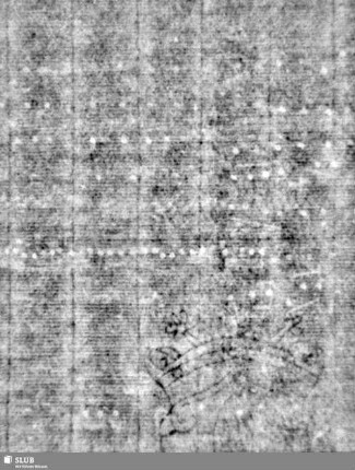 Lilienschild + IESV / LW = S.21/22
