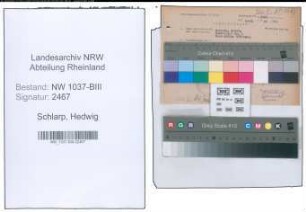 Entnazifizierung Hedwig Schlarp , geb. 20.10.1895 (Postsekretaer)