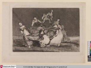 Disparate feminino [Weibliche Torheit; Feminine folly]