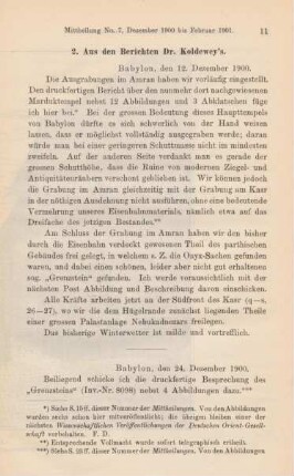 2. Aus den Berischten Dr. Koldewey's