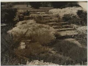 Zuckerraffinerie Fr. Meyers Sohn, Tangermünde: Stein-Senkgarten